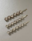 Luxury Silver Hair Slide Set