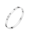 Avana Luxe Stainless Steel Clover Bangle